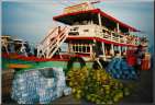 Fhrschiff Pattaya - Koh Larn (49KB)